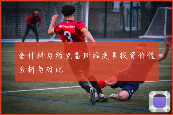 舍什科与约克雷斯谁更具投资价值分析与对比