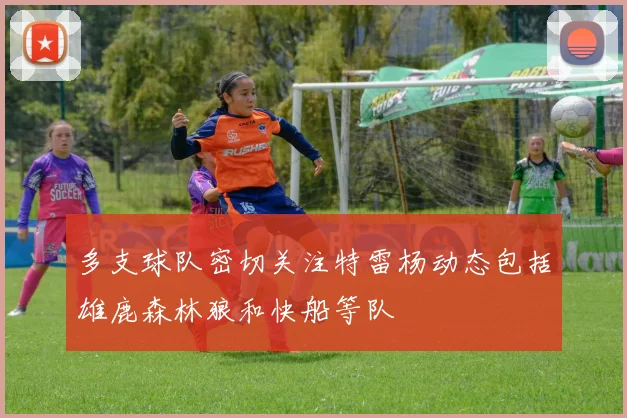 多支球队密切关注特雷杨动态包括雄鹿森林狼和快船等队