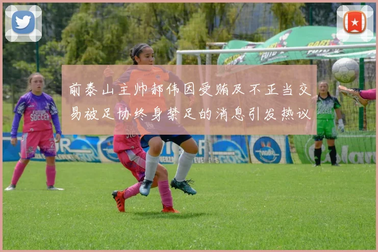 前泰山主帅郝伟因受贿及不正当交易被足协终身禁足的消息引发热议